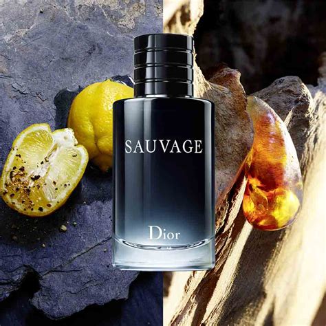 dior sauvage edt douglas|dior sauvage edt refill.